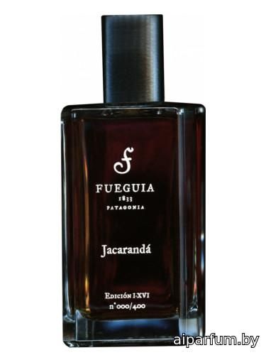 Jacarandá 2016 Edition