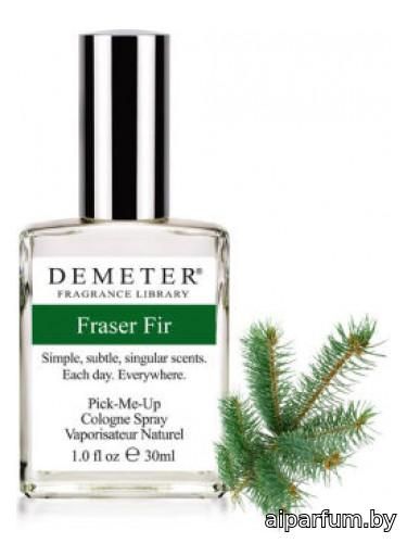 Fraser Fir