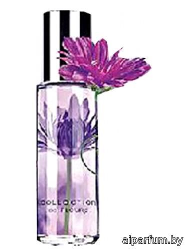 Passionate Purple