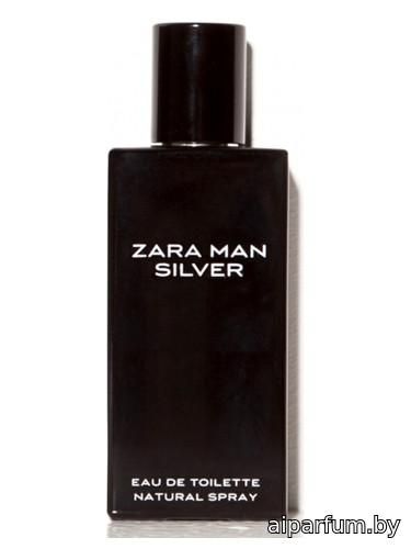 Zara Man Silver