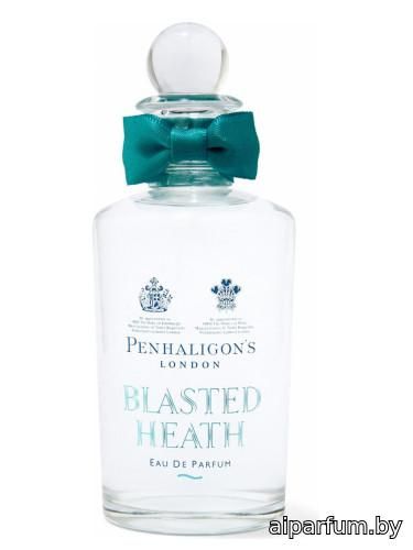 Blasted Heath