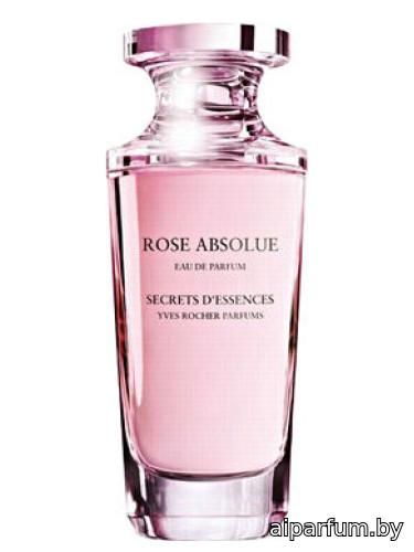 Rose Absolue