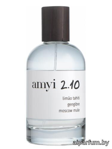 Amyi 2.10