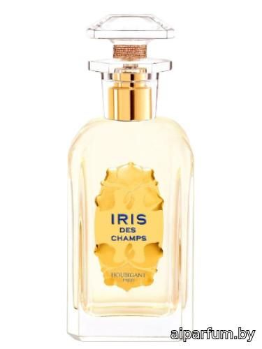 Iris des Champs