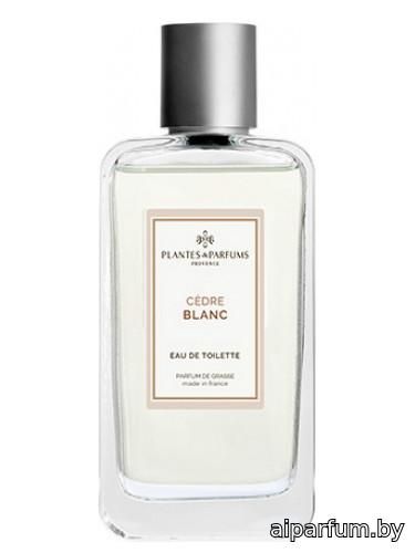 Cèdre Blanc