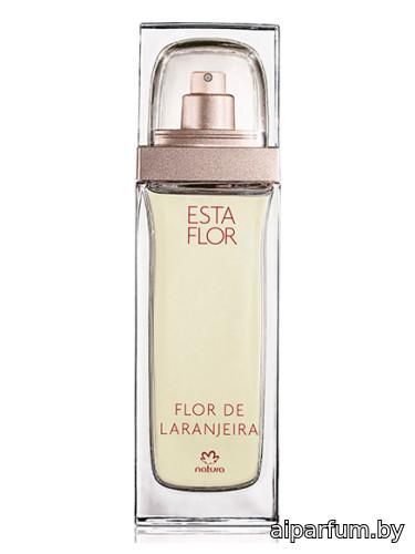 Esta Flor Flor de Laranjeira
