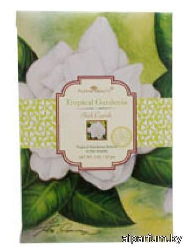 Tropical Gardenia