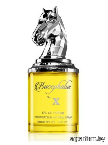 Bucephalus X
