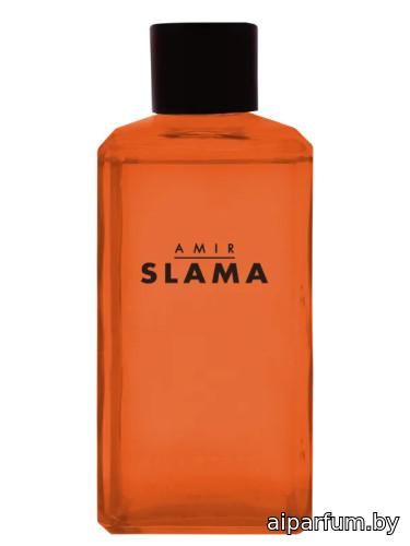 Amir Slama Raiz