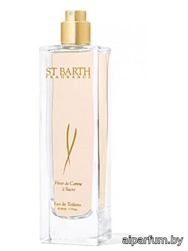 Fleur de Canne a Sucre