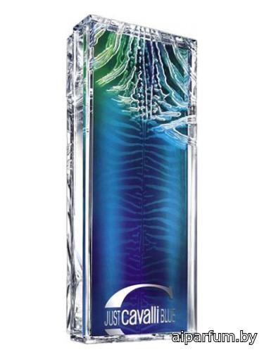 Just Cavalli Blue