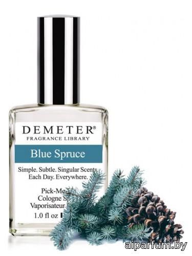 Blue Spruce