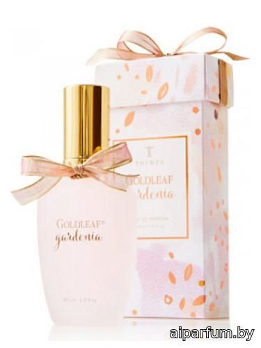 Goldleaf Gardenia
