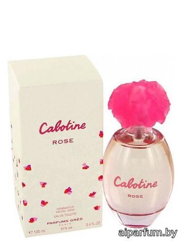 Cabotine Rose