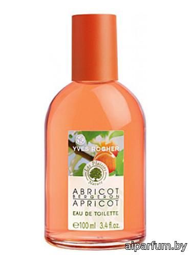 Abricot Bergeron