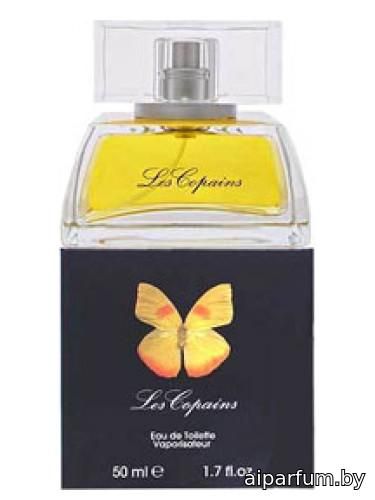 Papillon