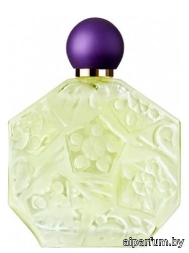 Fleurs d'Ombre Violette - Menthe