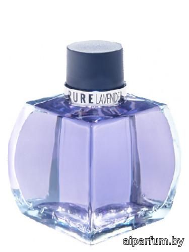 Pure Lavender