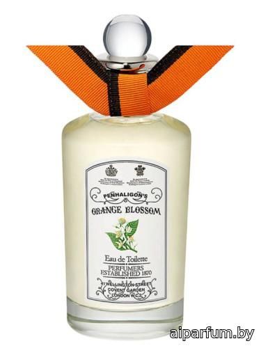 Orange Blossom