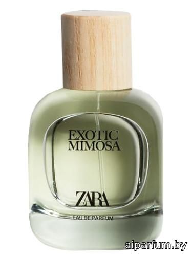 Exotic Mimosa