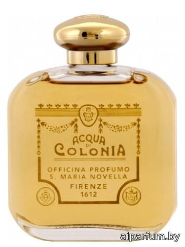 Gelsomino