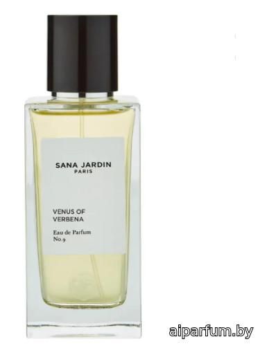 Venus of Verbena