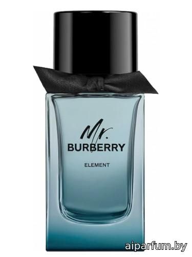 Mr. Burberry Element