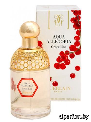 Aqua Allegoria Grosellina