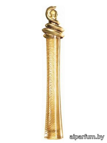 Roberto Cavalli Oro