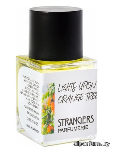 Lights Upon Orange Tree