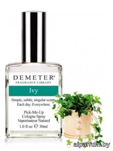 Ivy