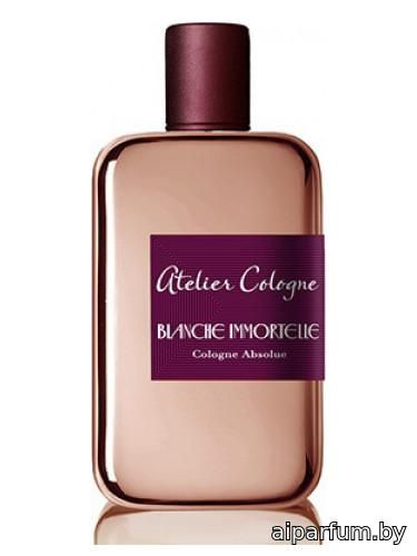 Blanche Immortelle