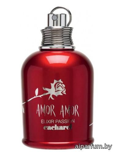 Amor Amor Elixir Passion
