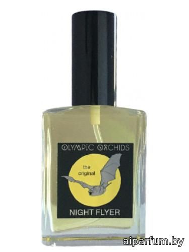 Night Flyer