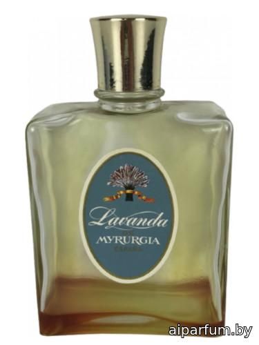 Lavanda