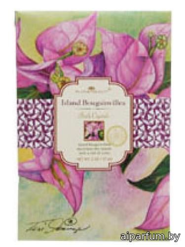 Island Bougainvillea