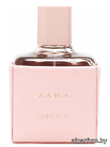 Zara Orchid 2016