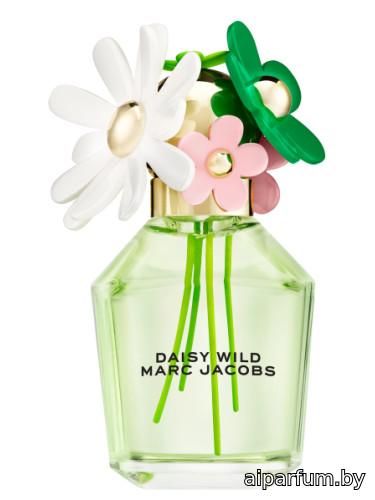 Daisy Wild