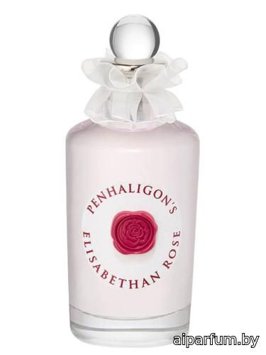 Elisabethan Rose