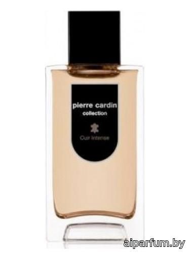 Pierre Cardin Collection Cuir Intense