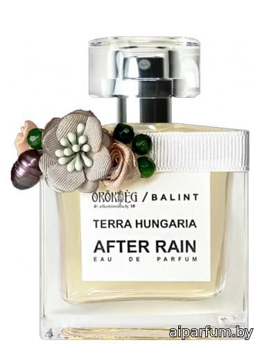 After Rain