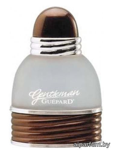 Gentleman Guepard