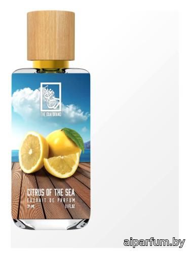 Citrus Of The Sea