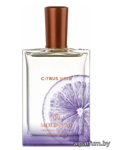 Citrus Noir