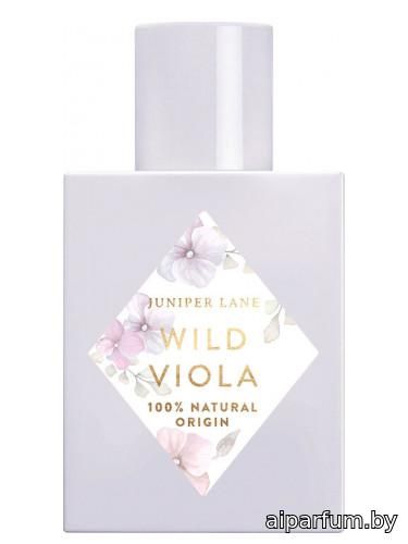 Wild Viola