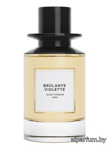 Brulante Violette