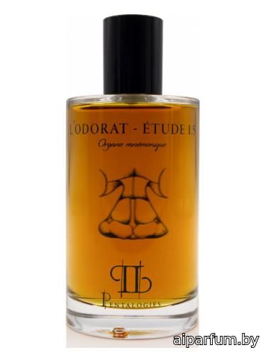 Etude 1.5: L’Odorat