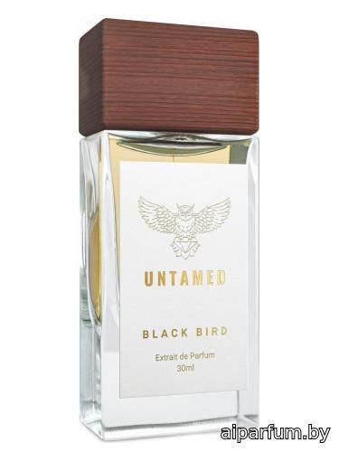 Black Bird