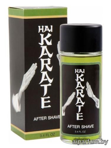 Hai Karate