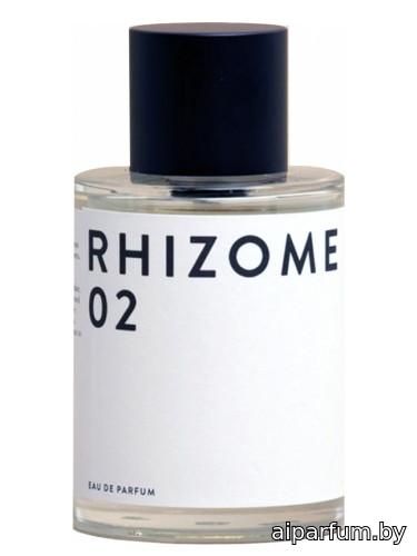 Rhizome 02
